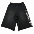 Two3/4 Shorts